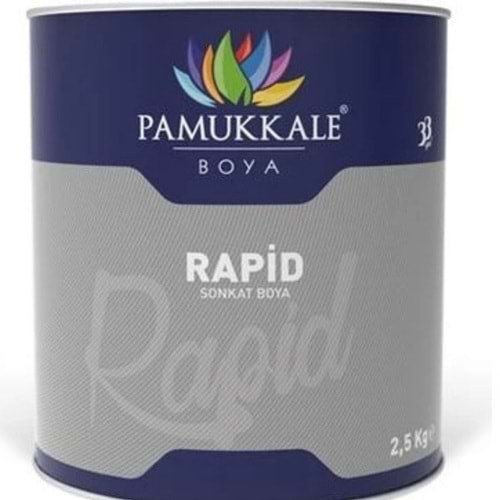 PAMUKKALE RAPİD GRİ 2,5 KG RAL-7040 SELÜLOZİK
