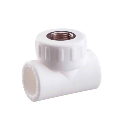 PPRC IC DISLI TE 20-1/2 mm