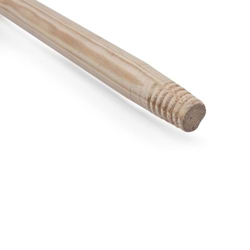 FIRCA SAPI AHSAP - 150 cm