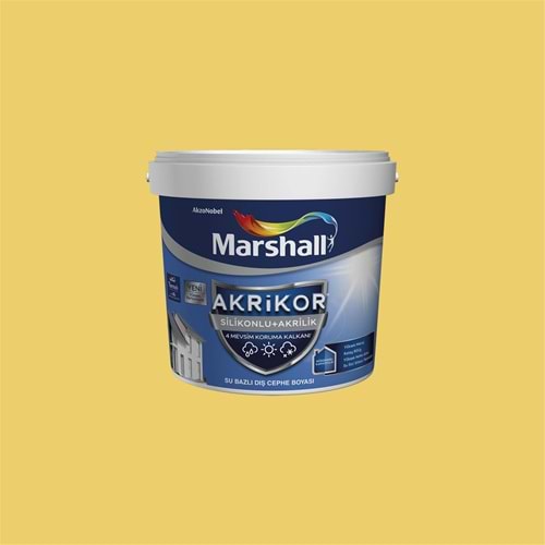 MB AKRIKOR SILIKONLU+AKRILIK BM BAZ - 7,5 L