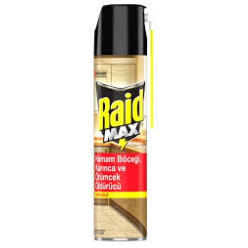 RAİD Böceksavar Max 300ml *12
