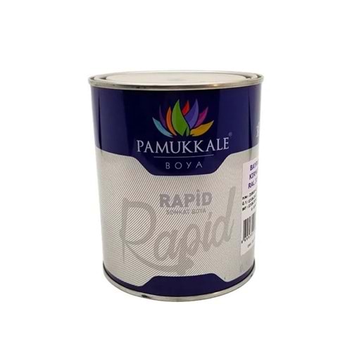PAMUKKALE RAPİD TURUNCU 0,75 KG RAL-2009 SELÜLOZİK