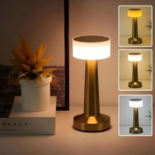 ŞAVK ŞARZLI AKRİLİK LED MASA LAMBASI 2W BAKIR RENGİ
