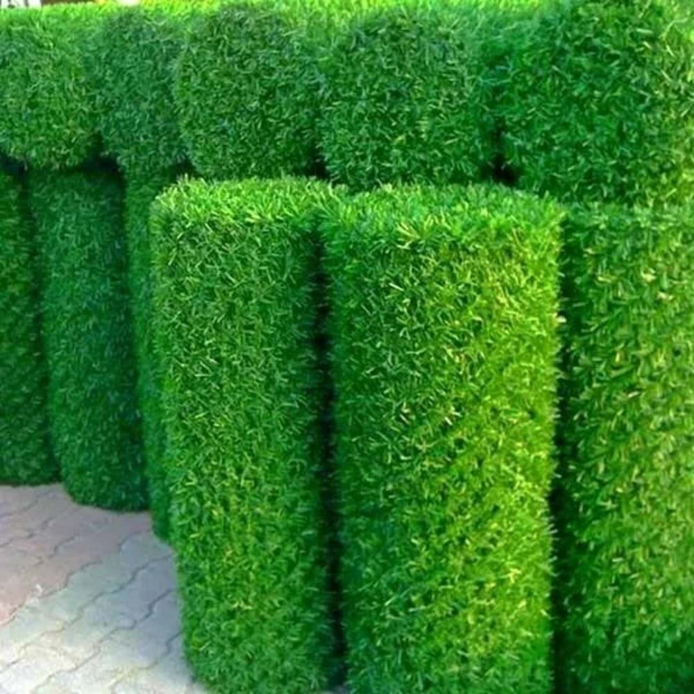 Sova Yeşil Renkli Çim Çit 150 cm 49 Göz