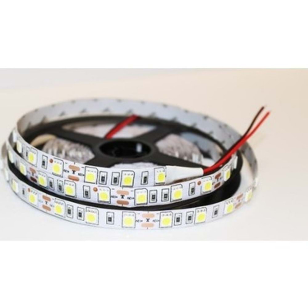 3 CIP 12V IC MEKAN GUNISIGI SERİT LED SMD4040 (5 MT)
