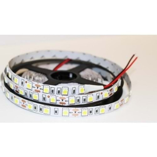 3 CIP 12V IC MEKAN GUNISIGI SERİT LED SMD4040 (5 MT)